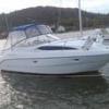 bayliner265